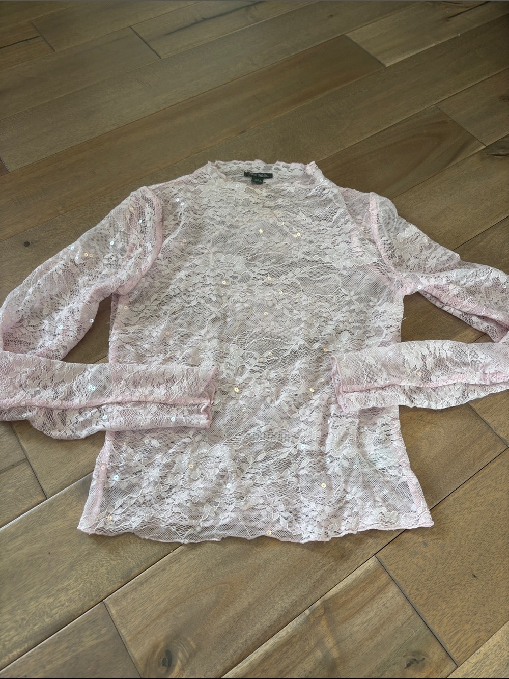 wild fable Light Pink Lace Sequin Long Sleeve Top
